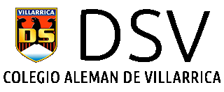 logo custom